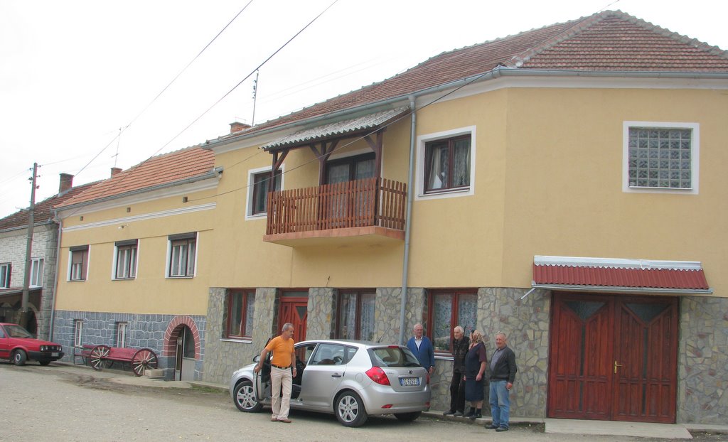 New Pictures in Galery