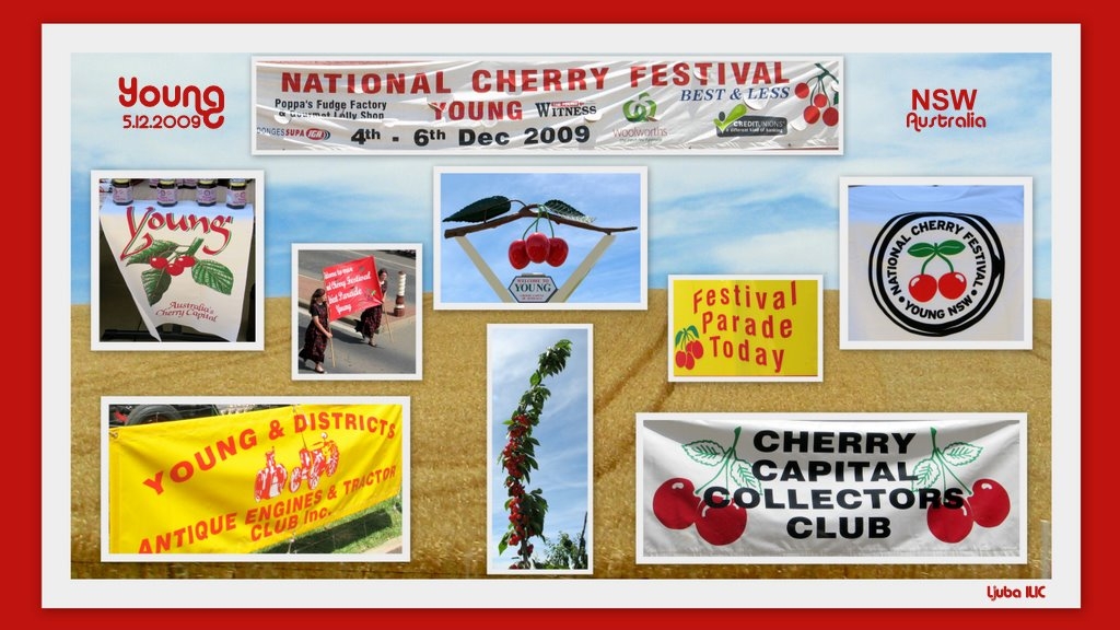 Cherry Festival In Young - Festival Tresnja