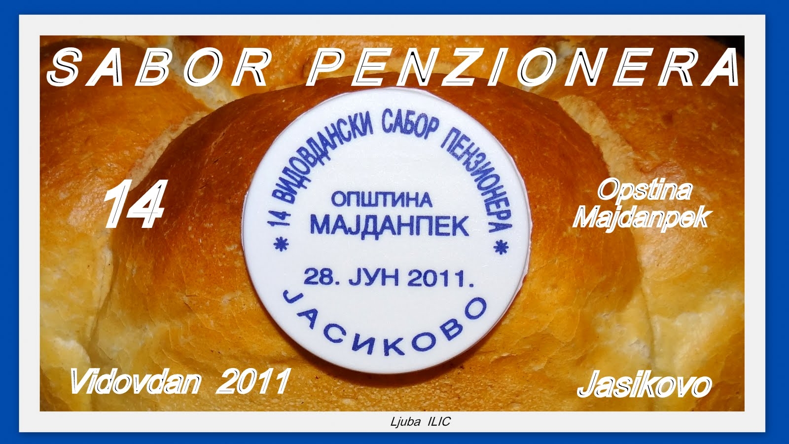Vidovdan Council of Pensioners - Vidovdanski Sabor Penzionera