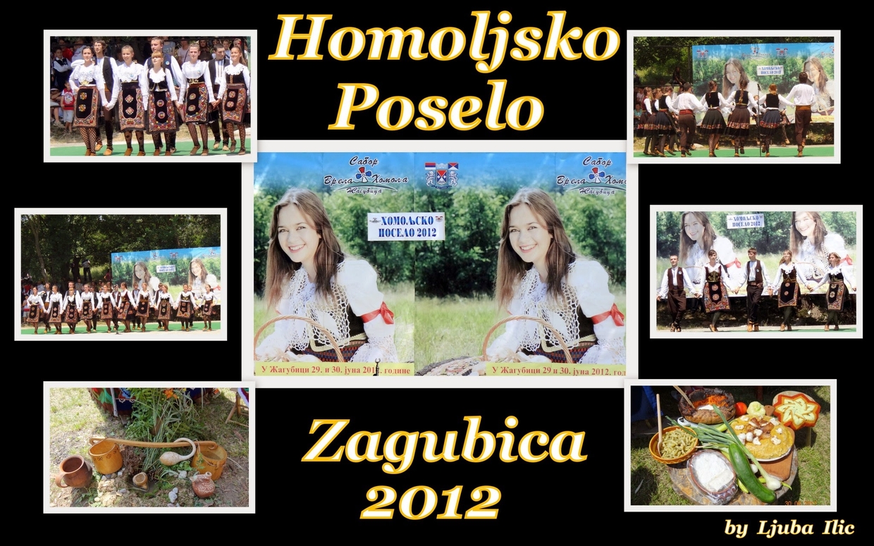 Homoljsko Poselo Zagubica 2012 cover image
